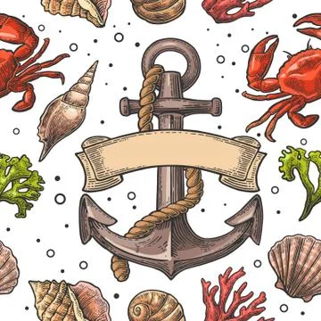 Seamless pattern sea shell, coral, crab and anchor with ribbon Illustration