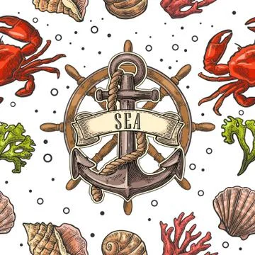 Seamless pattern sea shell, coral, crab and anchor with ribbon Illustration