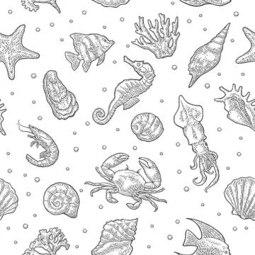 Seamless pattern sea shell, coral, cuttlefish, coral, oyster, crab, shrimp, s Stock Illustration
