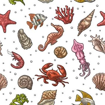 Seamless pattern sea shell, coral, cuttlefish, coral, oyster, crab, shrimp, s Stock Illustration