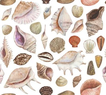 Seamless pattern with sea shells and conchs. Watercolor painting. Stock Illustration
