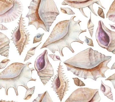 Seamless pattern with sea shells and conchs. Watercolor painting. Stock Illustration