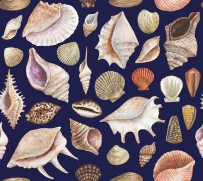 Seamless pattern with sea shells and conchs. Watercolor painting. Stock Illustration