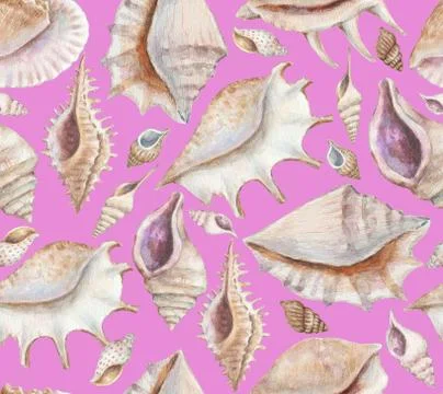 Seamless pattern with sea shells and conchs. Watercolor painting. Illustrazione stock