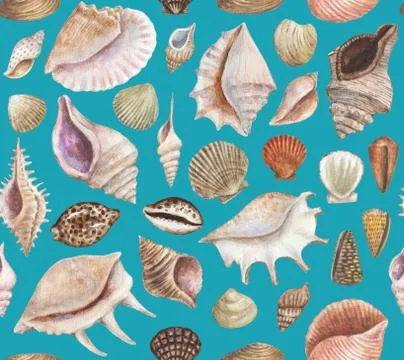 Seamless pattern with sea shells and conchs. Watercolor painting. Stock Illustration