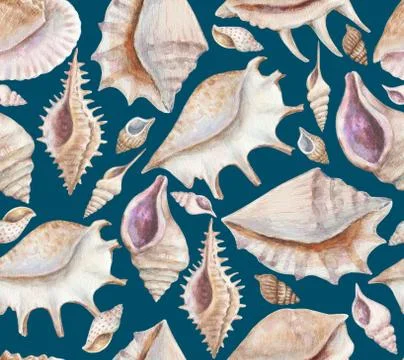 Seamless pattern with sea shells and conchs. Watercolor painting. 库存插图