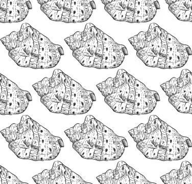 Seamless pattern sea shells Cypraecassis is a genus of medium-sized to large  Illustrazione stock