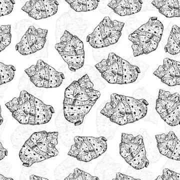 Seamless pattern sea shells Cypraecassis is a genus of medium-sized to large  Illustrazione stock