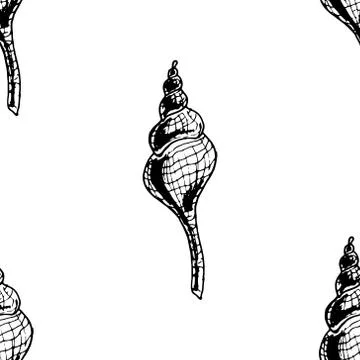 Seamless pattern from sea shells.  Hand drawn large shell. Doodle ocean shell 库存插图
