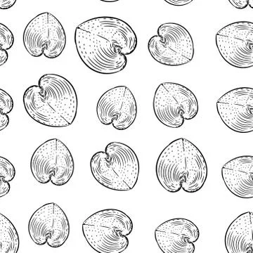 Seamless pattern sea shells rare endangered species, Cardiidae bivalve mollus Stock Illustration