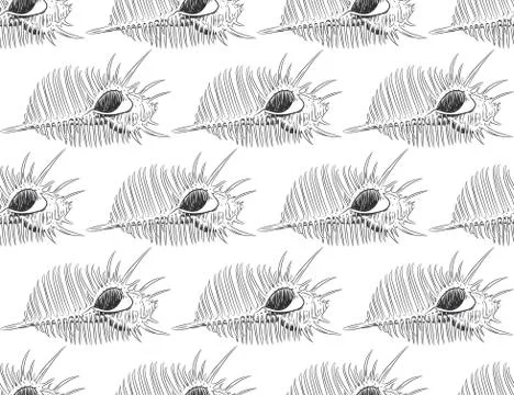 Seamless pattern sea shells Venus comb Murex pecten, sea snail, marine gastro Stock Illustration