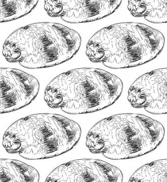Seamless pattern sea shells Volutidae, common name volutes, are a taxonomic f Illustrazione stock