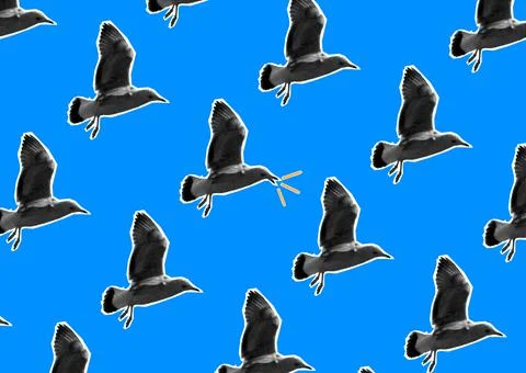 Seamless pattern with a seagull on a blue background. Screaming seagull. cont Stock Photos