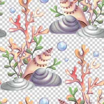 Seamless pattern with seashells and stars. Hand drawn watercolor illustration 库存插图