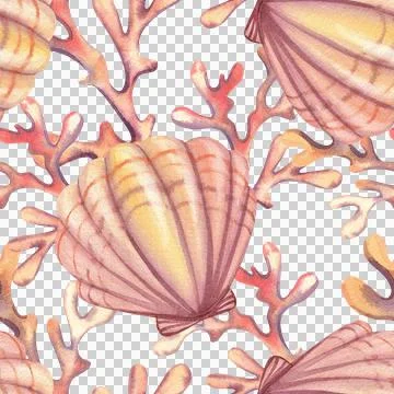 Seamless pattern with seashells and stars. Hand drawn watercolor illustration Stockillustratie