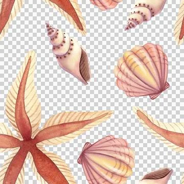 Seamless pattern with seashells and stars. Hand drawn watercolor illustration 库存插图
