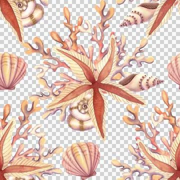 Seamless pattern with seashells and stars. Hand drawn watercolor illustration 库存插图