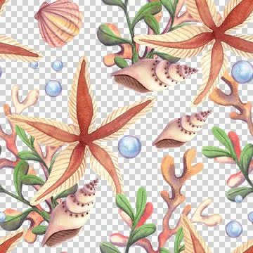 Seamless pattern with seashells and stars. Hand drawn watercolor illustration Иллюстрация