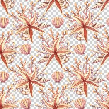 Seamless pattern with seashells and stars. Hand drawn watercolor illustration Stock Illustration