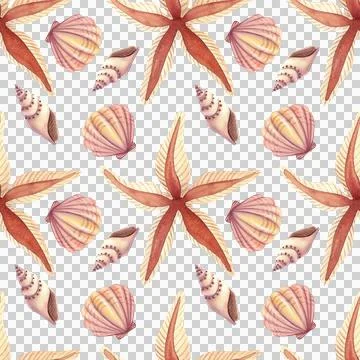 Seamless pattern with seashells and stars. Hand drawn watercolor illustration Illustration