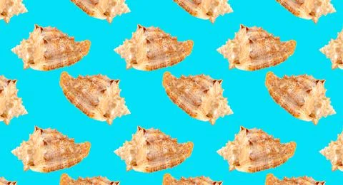 Seamless pattern with seashells on a blue background. Illustrazione stock