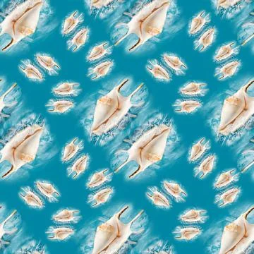 Seamless pattern of seashells on a blue background 写真素材