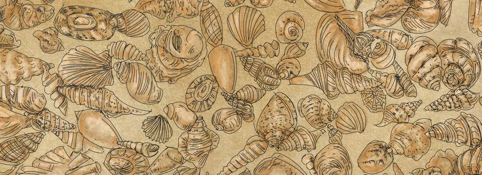 Seamless pattern with seashells. Hand drawn illustration. Stock Illustration