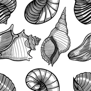 Seamless pattern of seashells. 스톡 일러스트