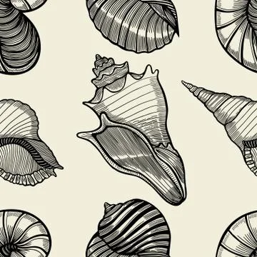 Seamless pattern of seashells. Stock Illustration