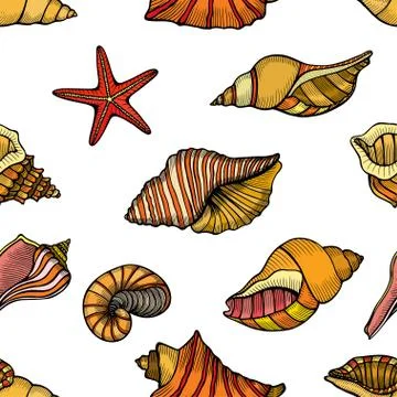 Seamless pattern of seashells. Stock Illustration
