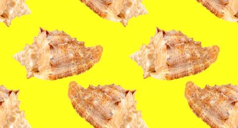 Seamless pattern with seashells on a yellow background. Illustrazione stock