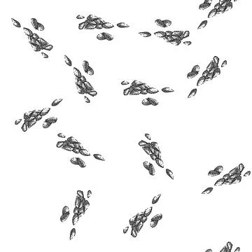 Seamless pattern seed pesto sketch hand drawn Stock Illustration