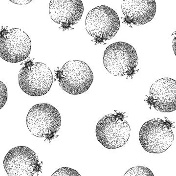 Seamless pattern seed pomegranate sketch hand drawn Illustrazione stock