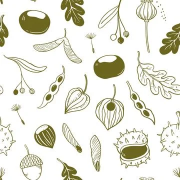 Seamless pattern with seeds, pods and autumn leaves. Vector hand-drawn dood.. Stockillustratie