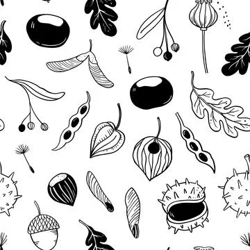 Seamless pattern with seeds, pods and autumn leaves. Vector hand-drawn dood.. Stockillustratie