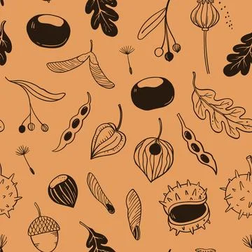 Seamless pattern with seeds, pods and autumn leaves. Vector hand-drawn dood.. Stockillustratie