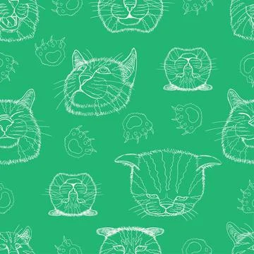 Seamless pattern set line sketch of different element cat head funny Stock Illustration