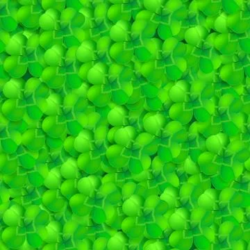 Seamless pattern of shamrock, trefoil or clover leaf Illustrazione stock