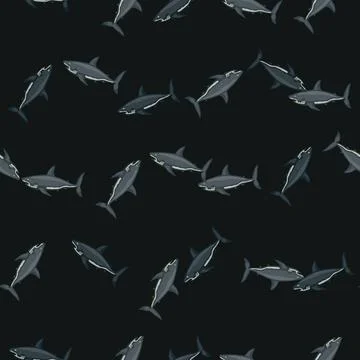 Seamless pattern shark on black background. Texture of marine fish for any pu 스톡 일러스트