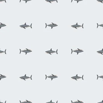 Seamless pattern shark on light gray background. Texture of marine fish for a Illustrazione stock