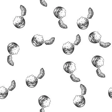 Seamless pattern shea butter care sketch hand drawn Stock Illustration