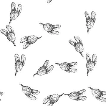 Seamless pattern shea organic sketch hand drawn Stock Illustration