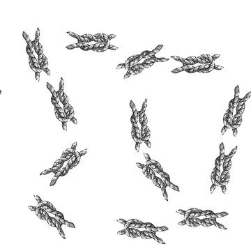Seamless pattern sheet rope knot sketch hand drawn Stock Illustration