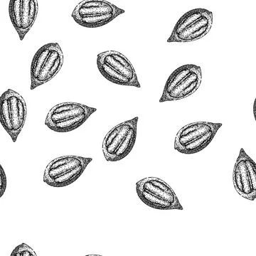 Seamless pattern shell pecan nut sketch hand drawn Stock Illustration