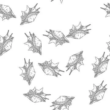 Seamless pattern shell sea sketch hand drawn Illustrazione stock