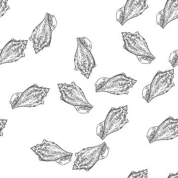 Seamless pattern shell sea sketch hand drawn Illustrazione stock