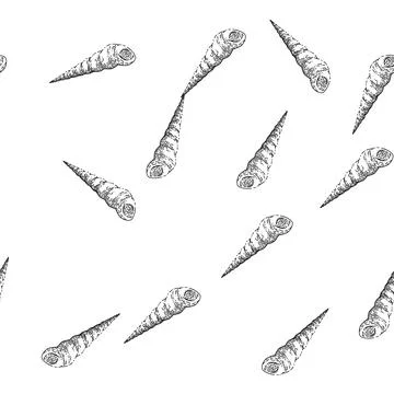 Seamless pattern shell sea sketch hand drawn Illustrazione stock