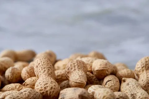 Seamless pattern shelled peanuts isolated on white background, top view, close Stock Photos