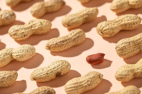 Seamless pattern of shelled peanuts Stock Photos