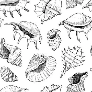 Seamless pattern with shells. Black and white detailed ink illustrations fo.. Stockillustratie
